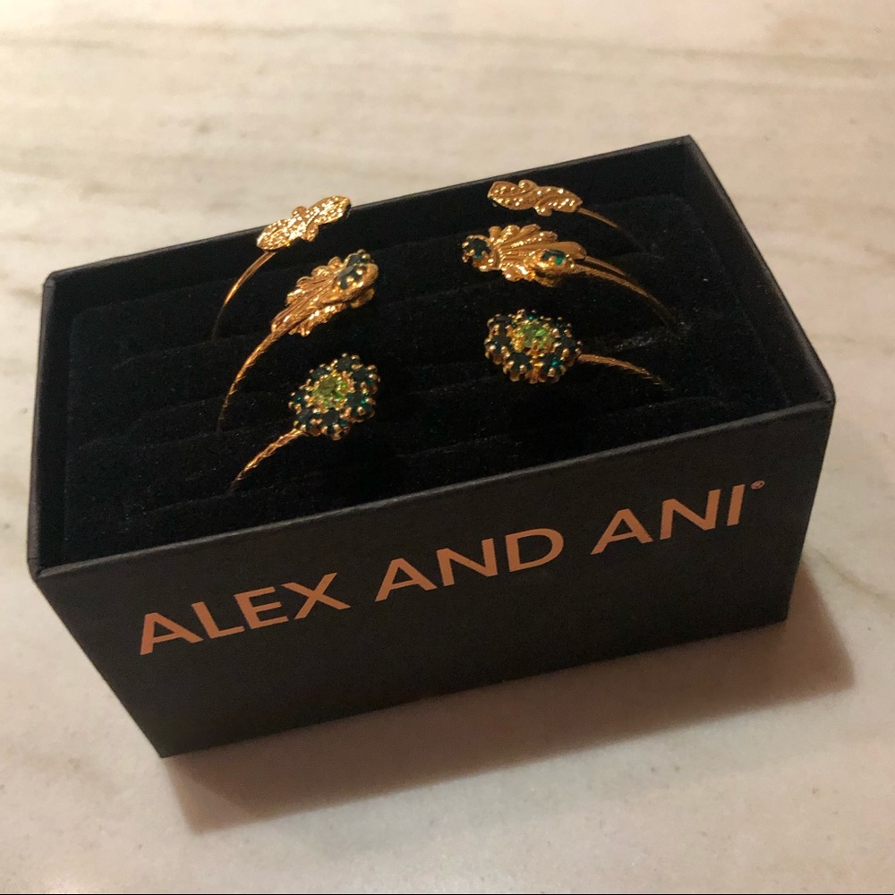 Alex and Ani Legacy Set of 4 (Pine)